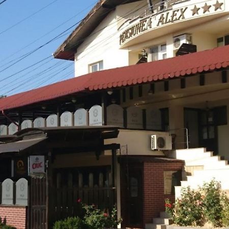 Vila Alex&Razvan Tulcea Luaran gambar